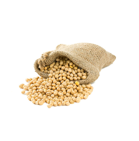 SOYBEAN GMO